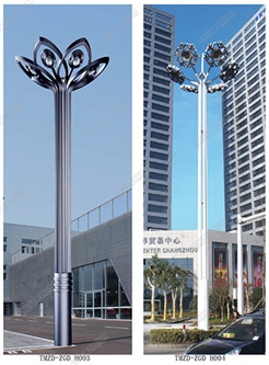 中杆灯-9