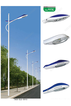 新农村改造道路灯