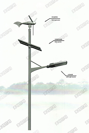 风光互补道路灯